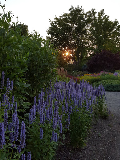 More than A Garden: Curious Llamas, Tiny Houses, and Teapot Trees at Kingsbrae Garden