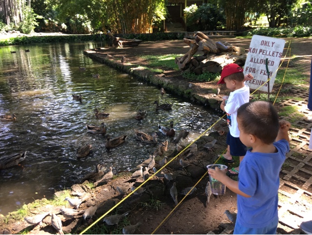 are dogs allowed at moanalua gardens