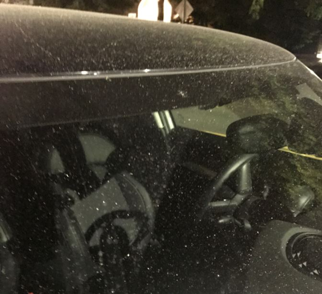 Ash from wildfires in Central Washington sprinkled the Seattle area on Tuesday, 5 September 2017, including on this car in Bitter Lake. Photo: Benjamin Woodard / The Seattle Times