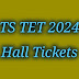 TS TET May 2024 Exam Hall Ticket Download 