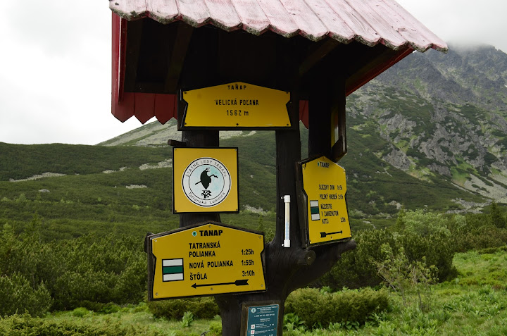 Татры, июнь 2015. с собакой