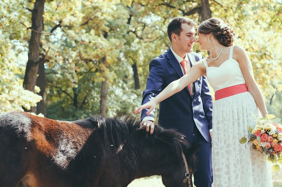 Fotógrafo de bodas Vlad Stenko (stenko). Foto del 29 de octubre 2015