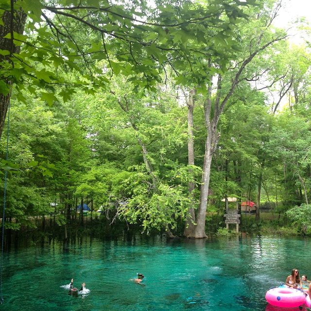 Ginnie Springs - Visit Natural North Florida