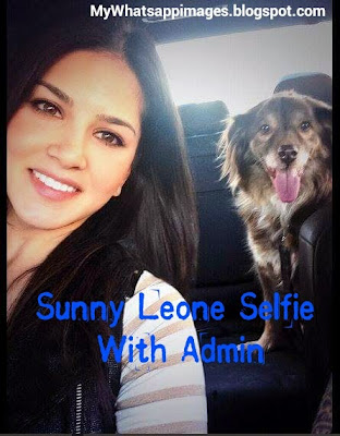 Funny Sunny Leone Group Admin Comments Images for Whatsapp