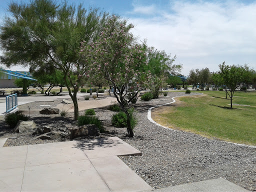 Park «Dust Devil Park», reviews and photos, 10645 W Camelback Rd, Glendale, AZ 85307, USA