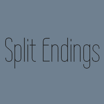 Split Endings Salon logo