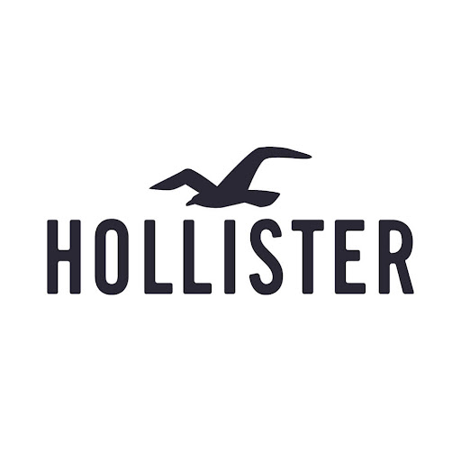 Hollister Co. logo