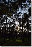 Campsite at dusk