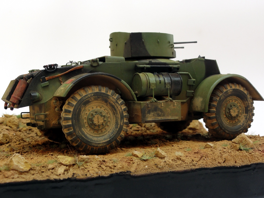 Staghound_AA_65.JPG