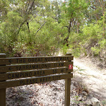 Intersection of the GNW and Tooheys Rd (447227)