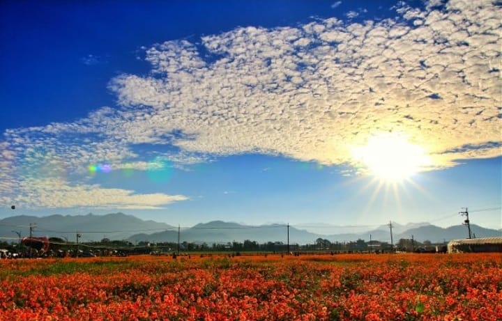 Nuvole e tulipani di maristella_kom_tanese