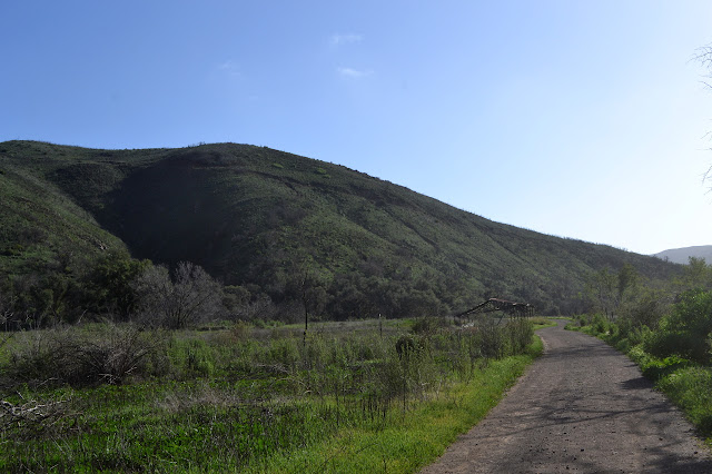 Big Sycmore Canyon Road