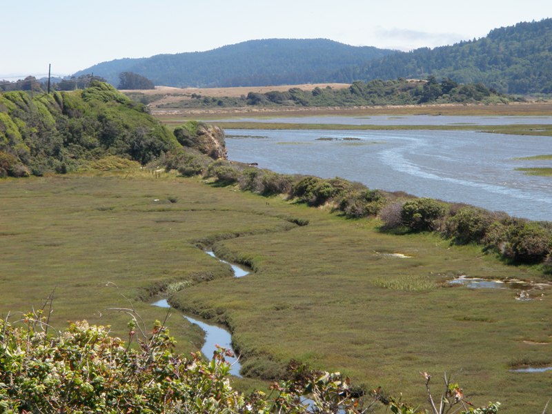 Redwood Coast • Bolinas Lagoon