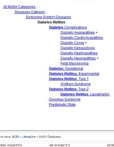 List of Diseases Categories for "Endocrine System Diseases" and specifically "Diabetes Mellitus."