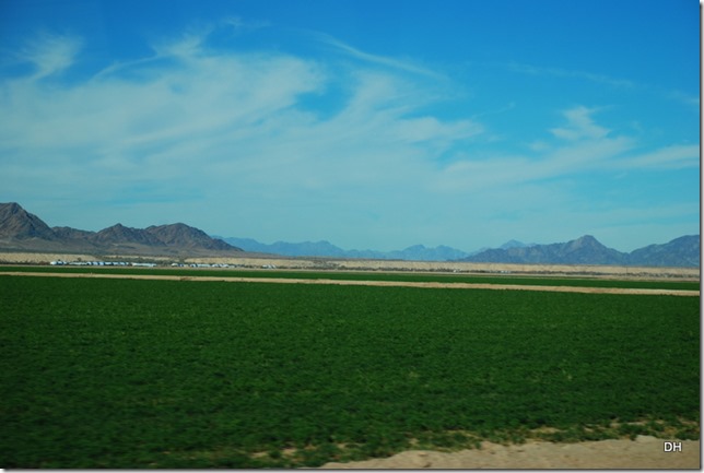 01-14-16 A Travel to Blythe CR-34 SR78 (92)