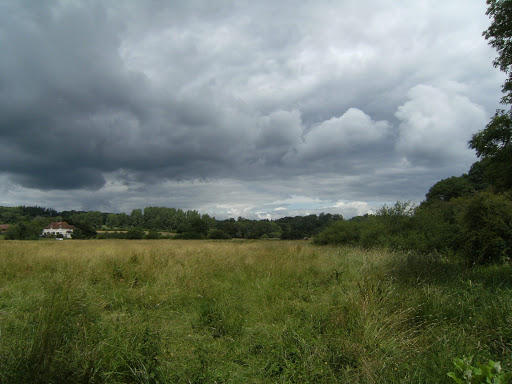 DSCF8294 Arun valley water meadows