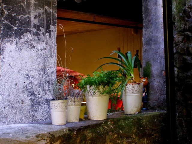 Bar Solana 4