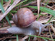 Obrázek: 2010-05-01 10.27.53.jpg