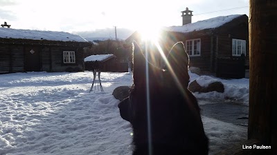 Photos of Vasetst&oslash;len - Restaurant