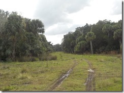 The trail back from mounds