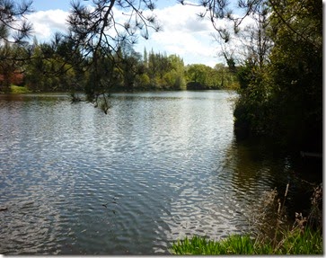 10 lymm lake 1