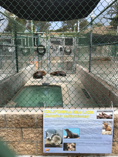 Animal Hospital «Marine Mammal Care Center», reviews and photos