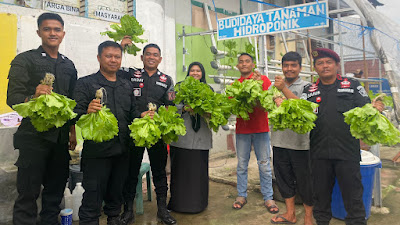 Sukses Lakukan Pembinaan, Rutan Rengat Panen Sayur Hidroponik Bersama Warga Binaan