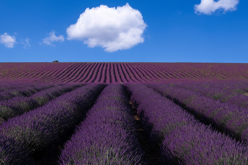 Colori provenzali di tonino_de_rubeis