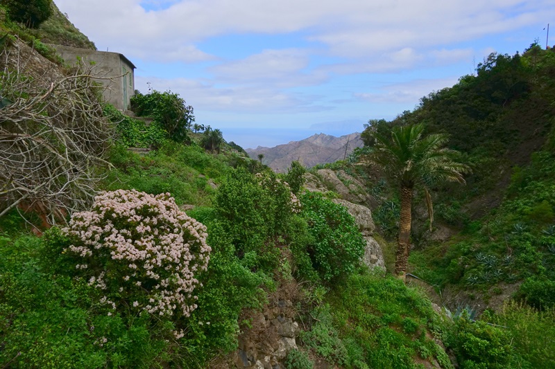 3 días en La Gomera (Canarias).  Una isla para enmarcar.  2ª parte. - De viaje por España (3)