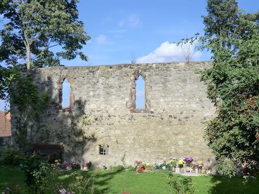 CIMG3636 Wall of the Bishop's Palace, Halling