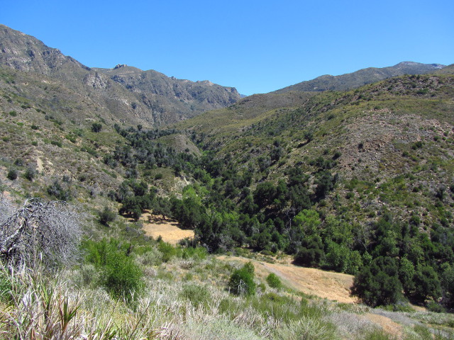 view over Indian Creek Camp and Indian Canyon