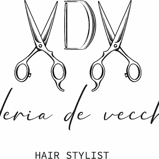 VDV Hairstylist logo