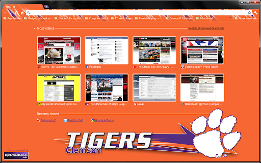 Clemson Tigers Large