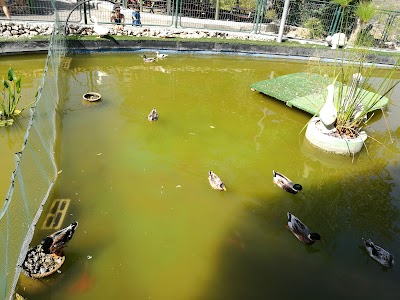 Photos of חניון מפתח דיסקונט לב תל אביב