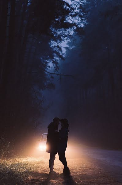 Fotógrafo de casamento Vladlen Lisenko (vladlenlysenko). Foto de 11 de novembro 2018