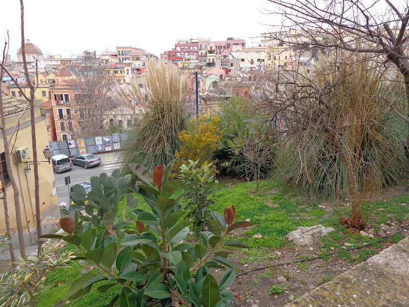 А включите-ка мне усилители качки! А подайте-ка белых пиджаков. Costa Paсifica февраль 13г