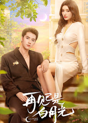 Fall in Love Again China Drama