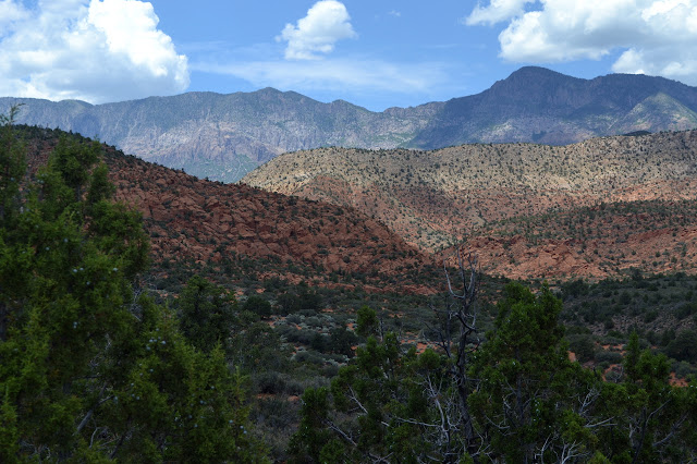 Signal Peak