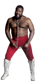 Junkyard Dog Net Worth, Age, Wiki, Biography, Height, Dating, Family, Career