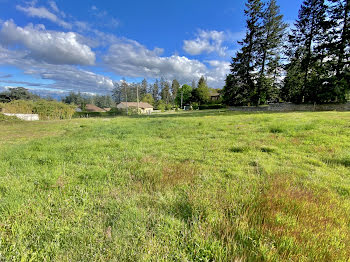 terrain à Roiffieux (07)