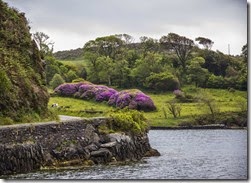 Loch Hyne