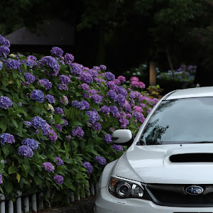 インプレッサ WRX STI GVB