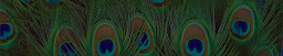 Profile cover photo