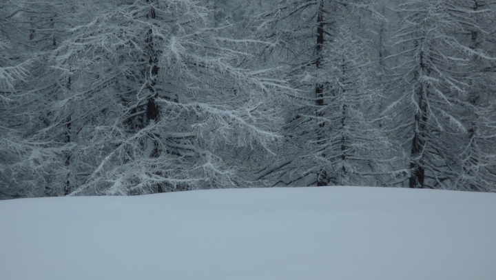 Danza invernale di Augenblick