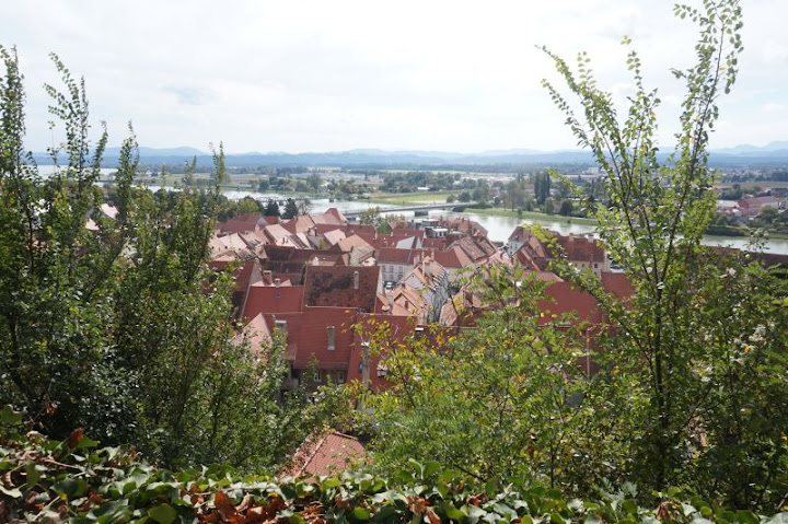 04/10- Ptuj y Maribor: De un paseo por el Drava - Un breve viaje a la antigua Yugoslavia (8)