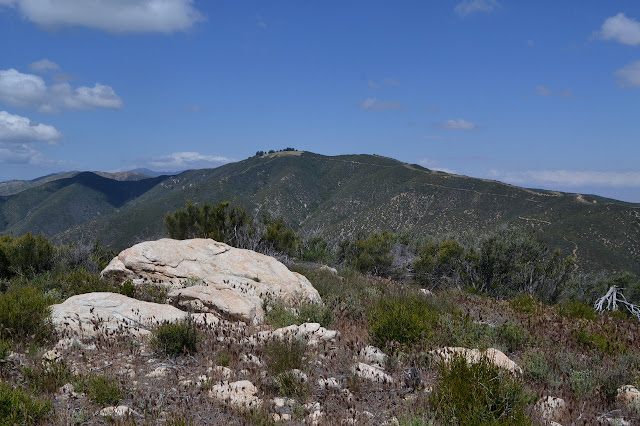 Grass Mountain