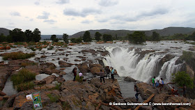 The wide and furious Cauvery tumbles here to form the wide and massive Hogenakkal Falls