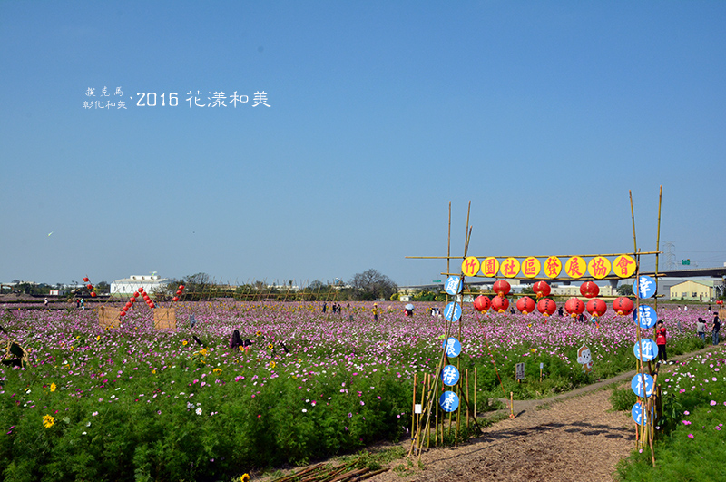 和美花海