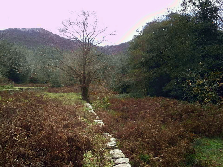 Large old terraces as we go deeper and deeper in the ravine