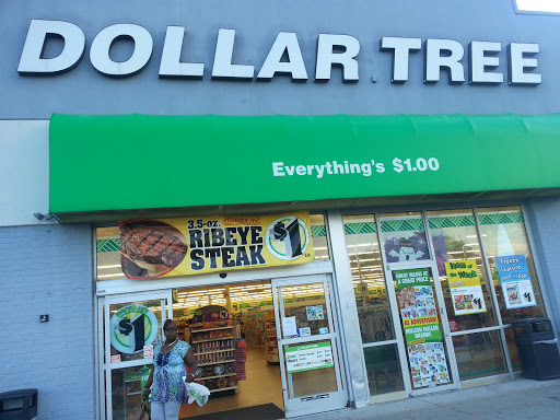 Dollar Store «Dollar Tree», reviews and photos, 1031 E Oakton St, Des Plaines, IL 60018, USA